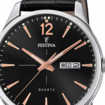 FESTINA F20205/4