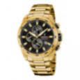 FESTINA F20541/4