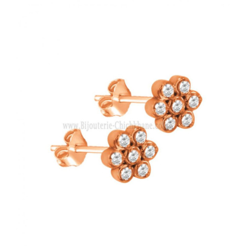 Boucles D'oreilles Zircon 58683